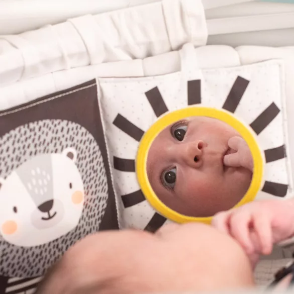 Taf Toys bébikönyv puha Szavanna 12875