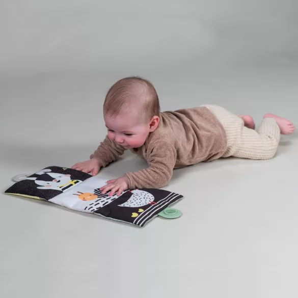 Taf Toys játékkészlet hasonfekvéshez Tummy-time 13435
