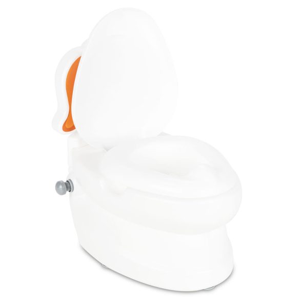 Pilsan tanuló bili kutya