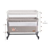 Cangaroo Always together babaöböl -kiságy bézs