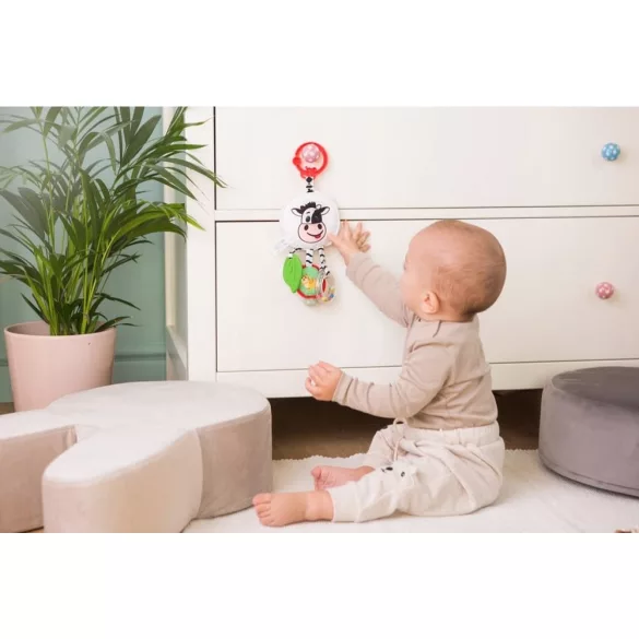 Bali Bazoo 80366 kétoldalas játék boci