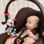 Bali Bazoo 81045 kutya pedro