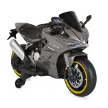 BO Surfer elektromos motor, 20kg-ig, 2 motoros SZÜRKE