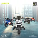 BO Surfer elektromos motor, 20kg-ig, 2 motoros SZÜRKE