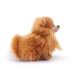 Trudi Pomerániai törpespicc, Biscuit - 23cm