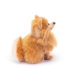 Trudi Pomerániai törpespicc, Biscuit - 23cm