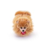 Trudi Pomerániai törpespicc, Biscuit - 23cm