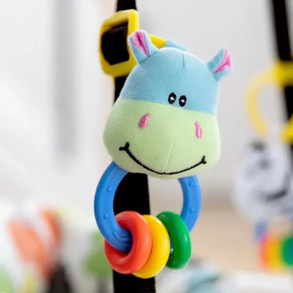 Graco rugós hinta Bumper Jumper Up and Away