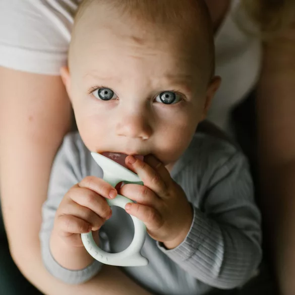 BabyOno rágóka csiga menta/rózsaszín 1597/01