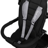 Lionelo Berry 2in1 tricikli - Grey Stone