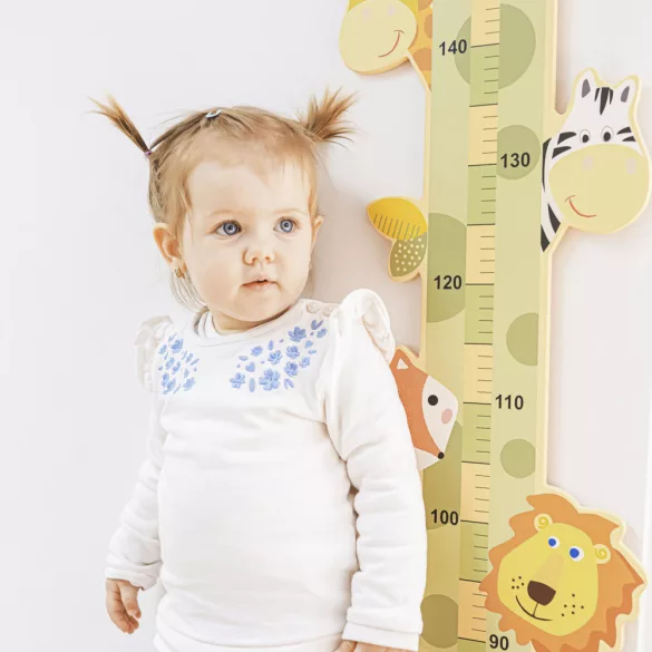 Zopa fa magasságmérõ felakasztható