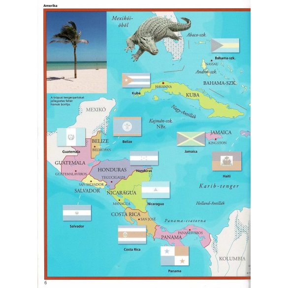 Napraforgó Képes atlasz gyermekeknek - A világ zászlói matricákkal