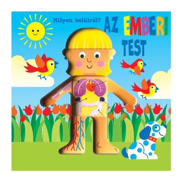 Napraforgó Nagy pop-up - Milyen belülről - Az emberi test