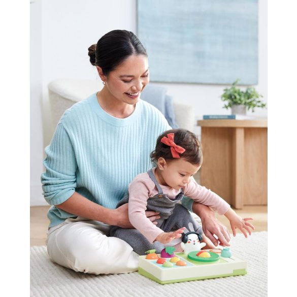 Skip Hop Farmstand DJ pult